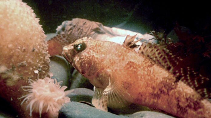 9859e7f9-2a84-48e4-a12e-f2df0c483b4e