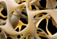 Прорив у зміцненні кісток: потенційна можливість позбутися остеопорозу