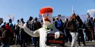 La science assiégée : une année de merveilles et d’avertissements en 2025