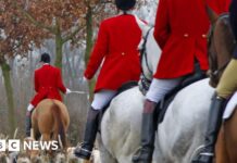 Полювання по стежках буде заборонено в рамках нової стратегії захисту тварин
