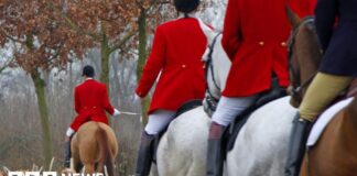 Prohibición de caza por senderos confirmada en Inglaterra y Gales