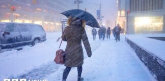 Le emissioni di gas serra negli Stati Uniti aumentano per la prima volta da anni, a causa del clima freddo e dei data center