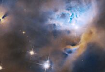 Hubble cattura la nascita delle stelle in NGC 1333