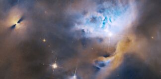 Hubble cattura la nascita delle stelle in NGC 1333