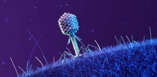 Tento týden ve vědě: Dlouhověkost, vesmírné viry a další objevy