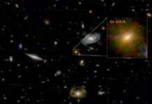 Antica galassia “affamata” dal buco nero, rivela il telescopio Webb