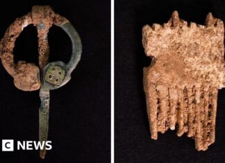 Середньовічний валлійський цвинтар розкриває таємниці ранньої жіночої релігійної громади