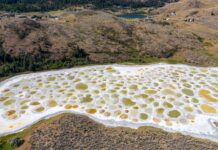 Spotted Lake: het mineraalrijke wonder van Canada