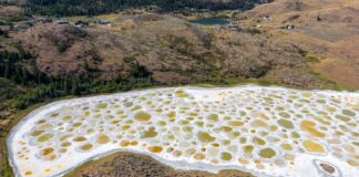 Spotted Lake: la maravilla rica en minerales de Canadá