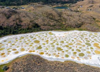 Stain Lake: канадське мінеральне диво