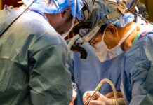 Хірурги тримали людину живою 48 годин без легенів в очікуванні трансплантації