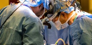 Chirurgen houden de mens 48 uur in leven zonder longen, in afwachting van transplantatie