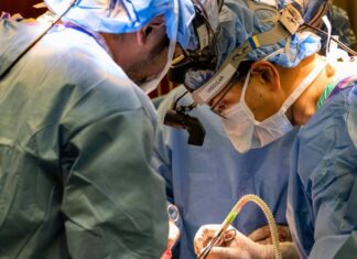 Хірурги тримали людину живою 48 годин без легенів в очікуванні трансплантації