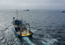 Випробування Лужності Океану Показує Перспективність Видалення Вуглецю, Без Негайної Шкоди для Морського Життя