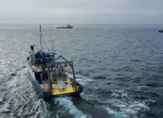 Випробування Лужності Океану Показує Перспективність Видалення Вуглецю, Без Негайної Шкоди для Морського Життя