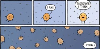 Молекулы, которые “думают”: как биология переосмысливает разум