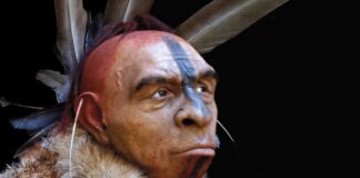 Het uitsterven van de Neanderthalers: een complex verhaal van concurrentie, ziekte en assimilatie