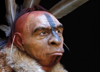 Зникнення Неандертальців: Складна Історія Конкуренції, Хвороб та Асиміляції