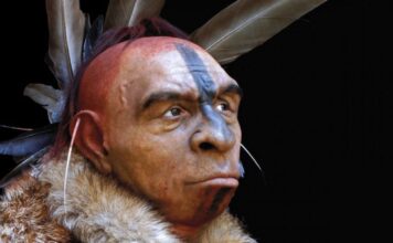 Зникнення Неандертальців: Складна Історія Конкуренції, Хвороб та Асиміляції