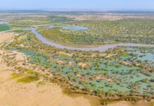 Китай перетворює пустелю Такла-Макан на несподіваний поглинач вуглецю