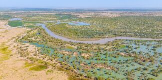 La Cina trasforma il deserto del Taklamakan in un inaspettato deposito di carbonio