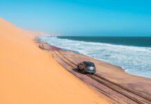 Як пустелі процвітають поруч із океанами: Наука про прибережні посушливі землі