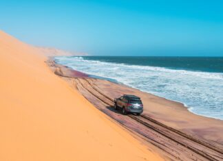 Як пустелі процвітають поруч із океанами: Наука про прибережні посушливі землі