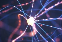 Прорив у лікуванні хвороби Паркінсона: вчені виявили, як токсичні білки пошкоджують клітини мозку