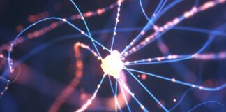 Průlom v léčbě Parkinsonovy choroby: vědci zjistili, jak toxické proteiny poškozují mozkové buňky