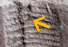 На цьому тижні в науці: від танення льодів Гренландії до “ефекту У всі тяжкі”