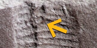 Tento týden ve vědě: od tání grónského ledu po efekt „Breaking Bad“.