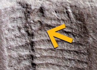 На цьому тижні в науці: від танення льодів Гренландії до “ефекту У всі тяжкі”