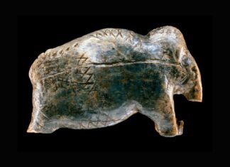 Стародавні Символи Натякають на Ранні Системи Комунікації Людини