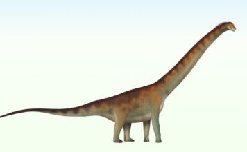 Новий вид динозавра пов’язує Південну Америку та Європу у давніх міграціях