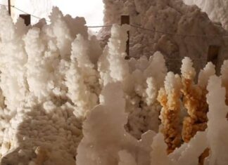 Відсутня мегаповінь: як Середземне море перетворилося з чаші, наповненої сіллю, на глибоке море, якщо це не був катаклізм?