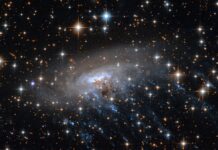 Телескоп “Вебб” розкриває давню “космічну медузу”, ставлячи під сумнів теорії еволюції галактик