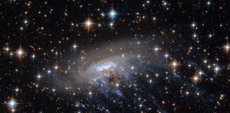 Webb-telescoop onthult eeuwenoude ‘kosmische kwallen’, uitdagende theorieën over de evolutie van sterrenstelsels