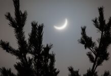 Ялини та Сонячні Затемнення: Наукова Дискусія