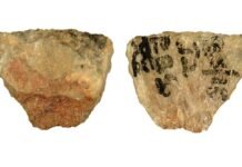 60 000-річні отруєні наконечники стріл розкривають ранні стратегії полювання давніх людей