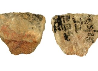 60 000-річні отруєні наконечники стріл розкривають ранні стратегії полювання давніх людей