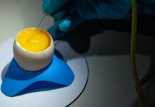 Курячі Яйця як Біофармацевтичні Фабрики: Нова Кордон у Виробництві Ліків
