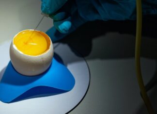 Курячі Яйця як Біофармацевтичні Фабрики: Нова Кордон у Виробництві Ліків