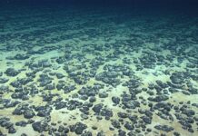 Penemuan Oksigen Laut Dalam yang Kontroversial Menghadapi Pengawasan dan Seruan untuk Pencabutan