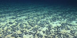 El controvertido descubrimiento de oxígeno en aguas profundas se enfrenta a escrutinio y exige retractación