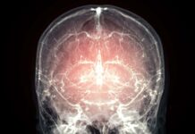 Terobosan Pelestarian Otak: Metode Baru Menawarkan Harapan untuk Rekonstruksi Pikiran di Masa Depan