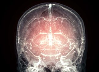 Прорив у Збереженні Мозок: Нова Методика Дає Надію на Майбутню Реконструкцію Свідомості