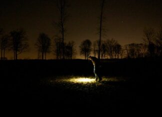 Полювання за метеором в Огайо: Гонка за космічним сміттям