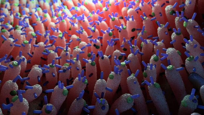 e68b333e-5e7d-47b9-925b-cb441cb7fb2f