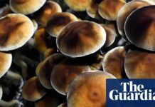 Пошук полегшення поза ліками: зростання популярності психоделічних реколекцій для ветеранів