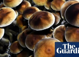 Пошук полегшення поза ліками: зростання популярності психоделічних реколекцій для ветеранів